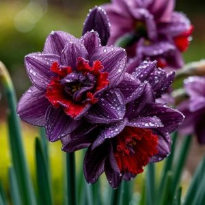 Нарцисс Минт Флер купить по цене от 2000р. в интернет-магазине «Посадика» с доставкой почтой в в Невинномысске и по всей России – [изображение №1].