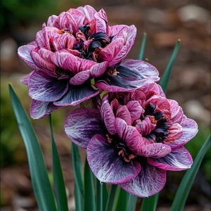 Нарцисс Моргатн Мотив купить по цене от 2000р. в интернет-магазине «Посадика» с доставкой почтой в в Невинномысске и по всей России – [изображение №1].