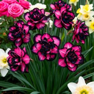 Нарцисс Золотая Корона купить по цене от 2000р. в интернет-магазине «Посадика» с доставкой почтой в в Невинномысске и по всей России – [изображение №1].