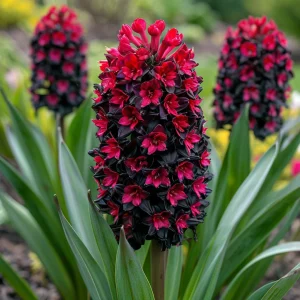 Гиацинт Джем Стоун купить по цене от 2099р. в интернет-магазине «Посадика» с доставкой почтой в в Невинномысске и по всей России – [изображение №1].